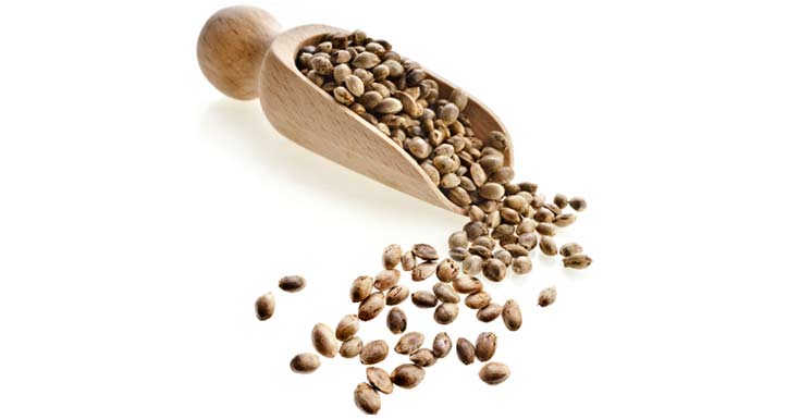 Hempseeds
