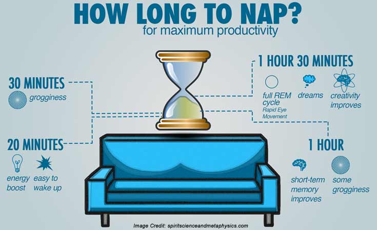 long-nap-info Long Nap