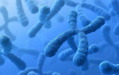 What is Science of Cells and What Our Genes Reveal About Health