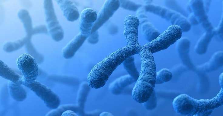 The Science of Cells and What Our Genes Reveal About Health