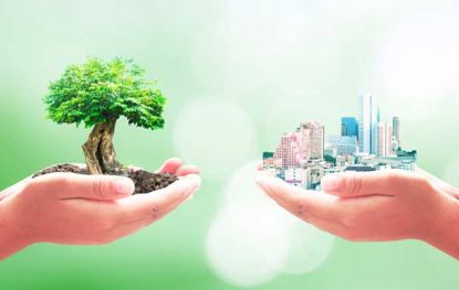 The Key to Starting a Go Green Lifestyle