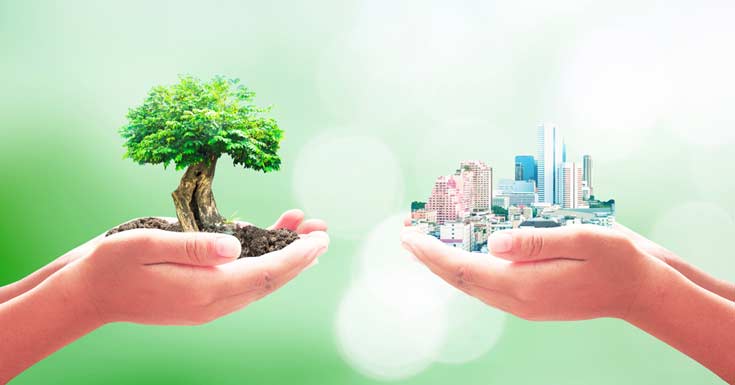 Go Green Lifestyle