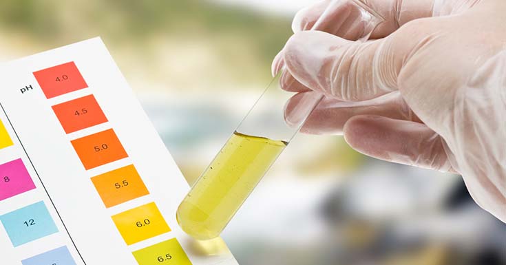 Understanding pH and How it Affects Our Body
