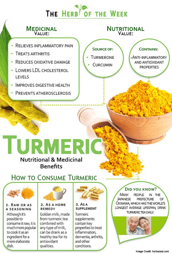 Turmeric Info