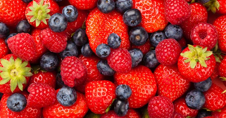 Food Color Advantage