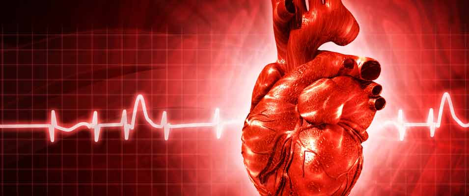 4 Easy Ways to Live Heart Healthy