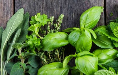 5 Nutritive Herbs for Better Food and Better Health