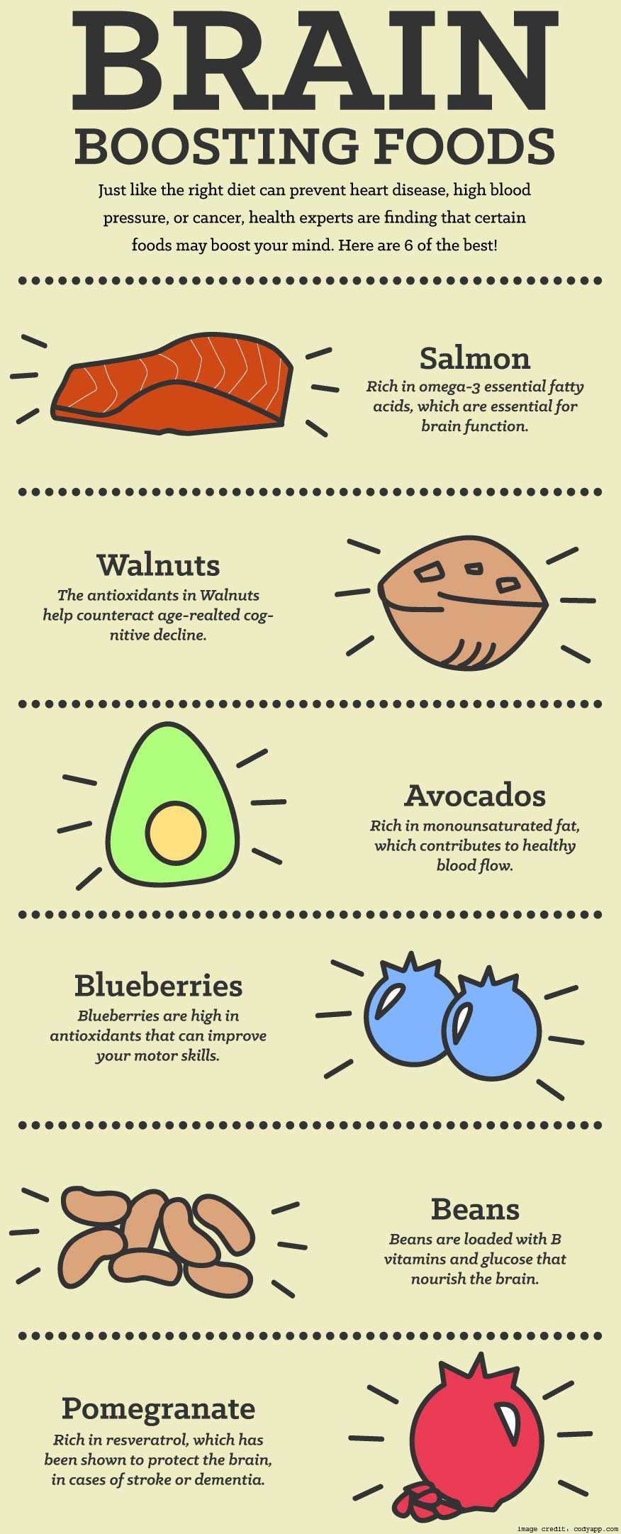 Brain Food Info