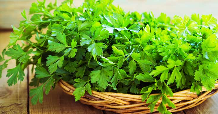 parsley Parsley