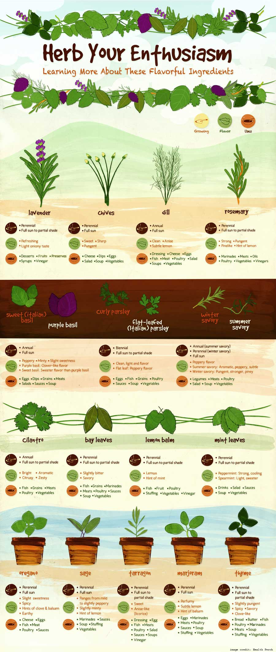 Your Herbs Info
