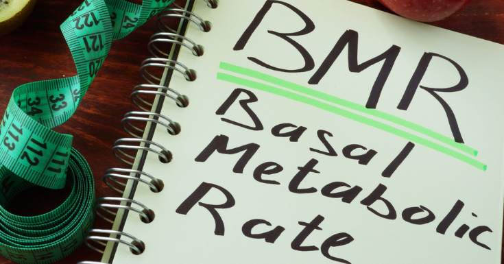BMR