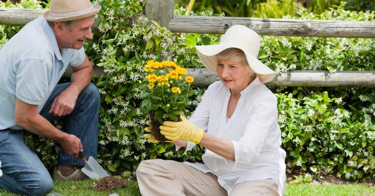 Plant A Garden