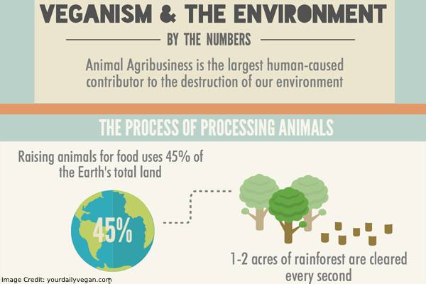 Veganism Environment