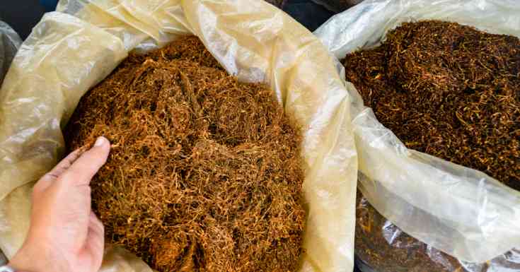 Big Tobacco Enters The Market