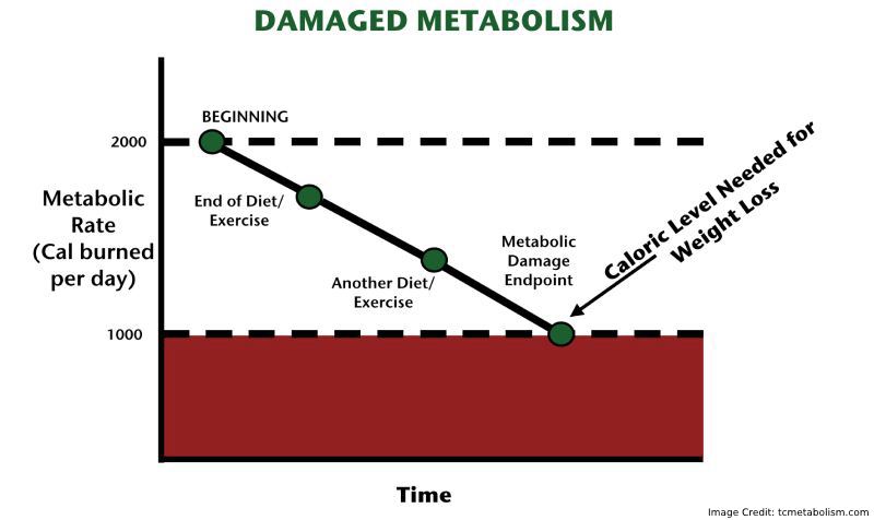 Metabolic Damage