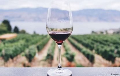 Ultimate Guide to Pick a Right Bottle of Wine