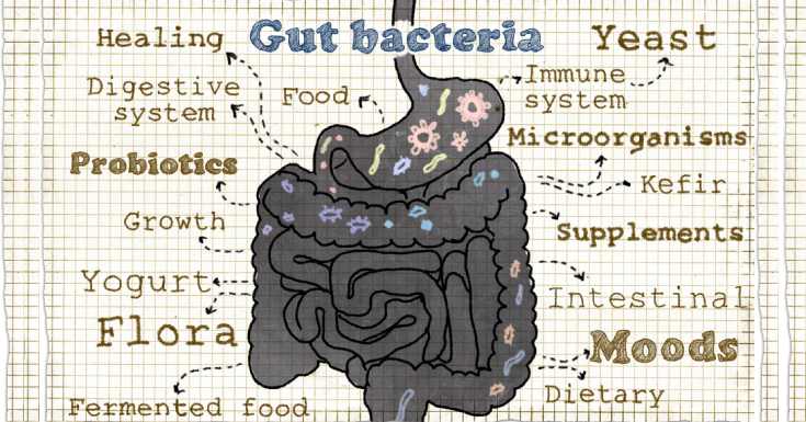 Rebuild Your Microbiome