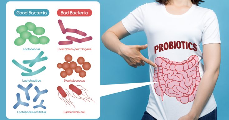 Insoluble Fiber for a Health Gut