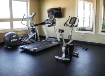 Sunny Health Fitness Bike