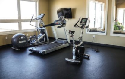 Sunny Health Fitness Bike