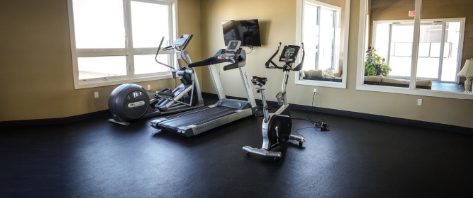Sunny Health Fitness Bike