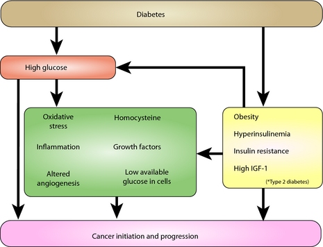 Consumer Health Digest Blogs