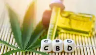 CBD Hemp Oil