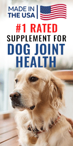 dog-joint-supplements