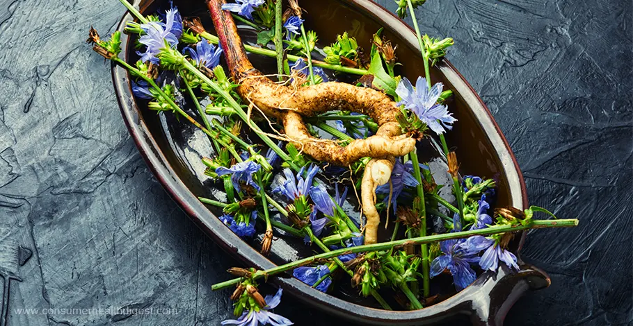 Inulin: A Prebiotic Fiber with Powerful Health Benefits