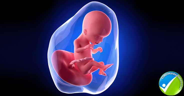 17 week fetus