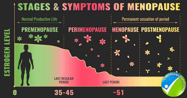 Phases of Menopause