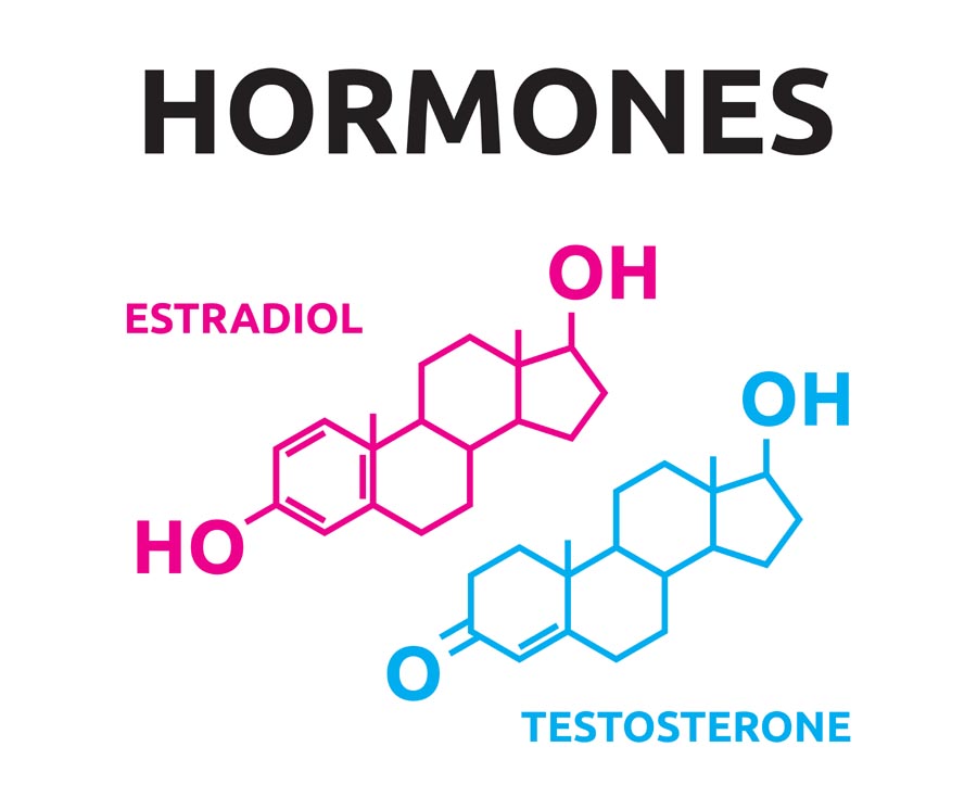 Hormones And Sex 65