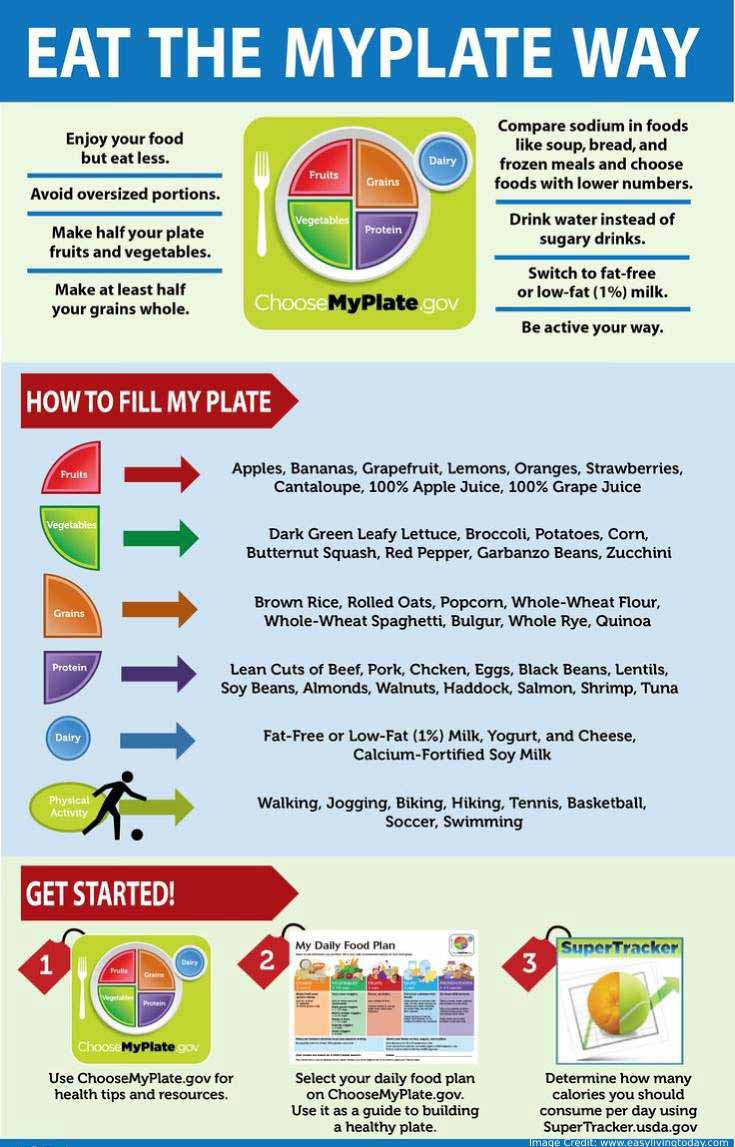 Vegan Diet Plan