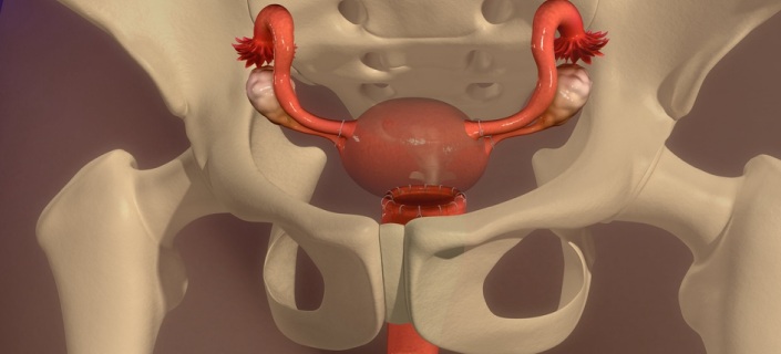 Forskolin formula side effects image 7