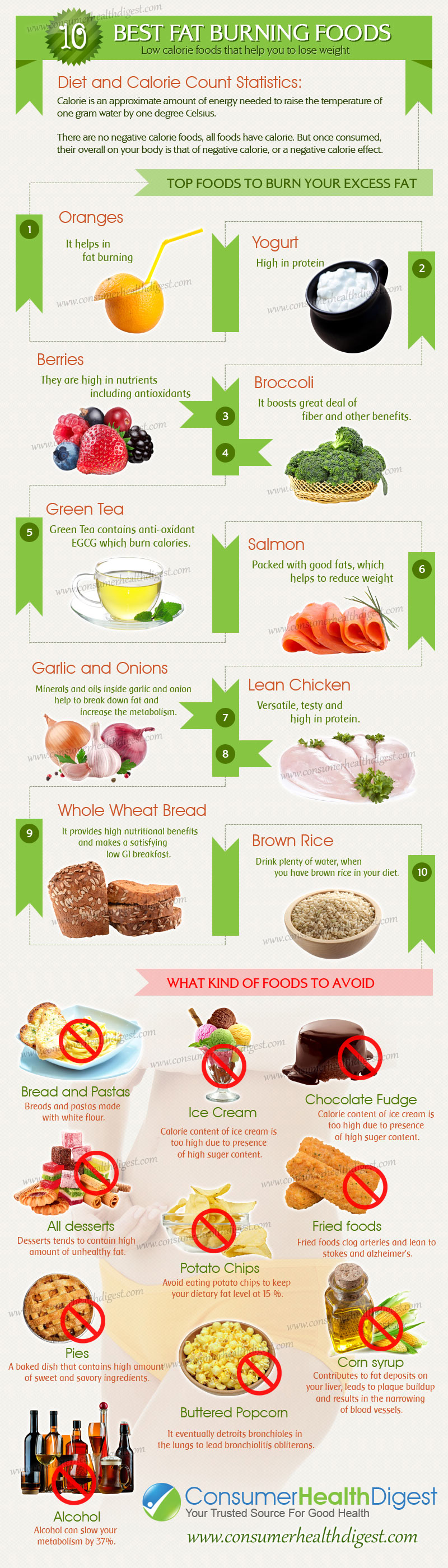 10 Best Fat Burning Foods 10-best-fat-burning-foods