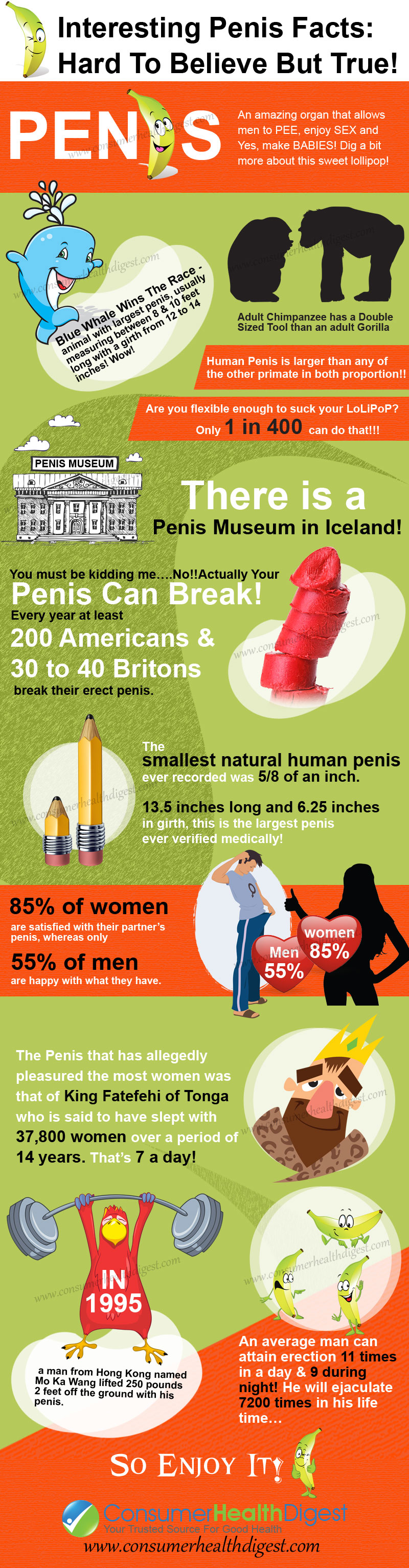 Facts About Penis 104