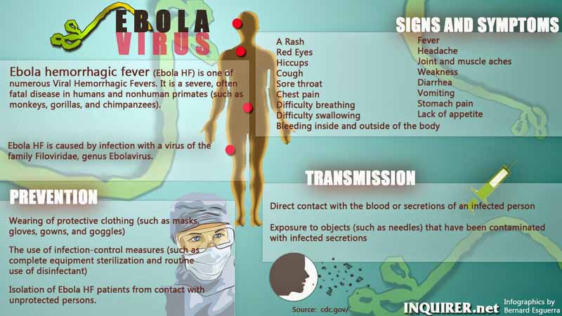 What Actually Happens When A Person Is Infected With The Ebola Virus