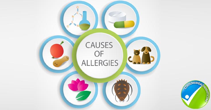 Types of Allergies