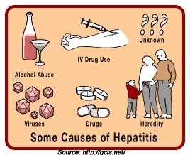 Hepatitis Causes and Risk Factors