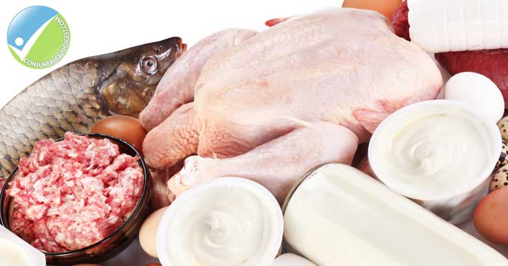 Meat And Dairy Products