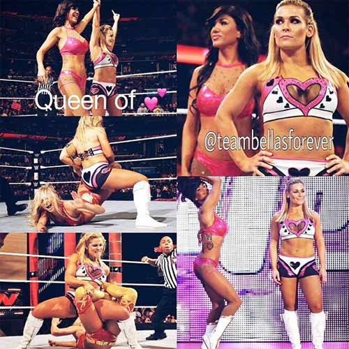 Rosa Mendes Championships and Accomplishments