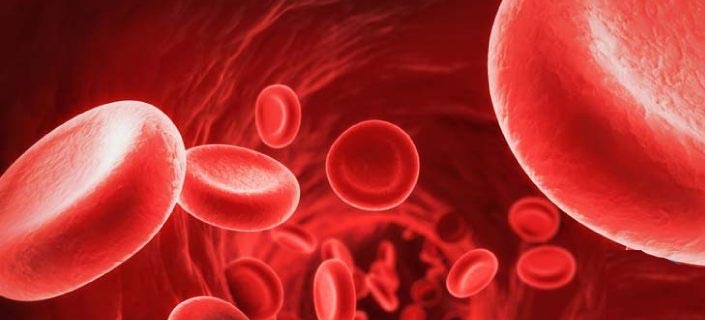 Aplastic Anemia and MDS Awareness Week: Let’s Stand Together To Fight Against Anemia