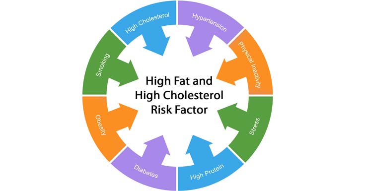 What Will Happen If You Have a High Cholesterol in Your Body?