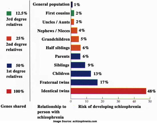 Disorganized schizophrenia case studies