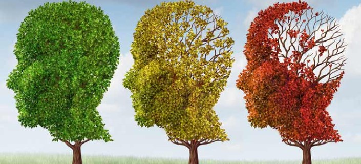 Does Your Brain Changes With Age? Get to Read Everything Here