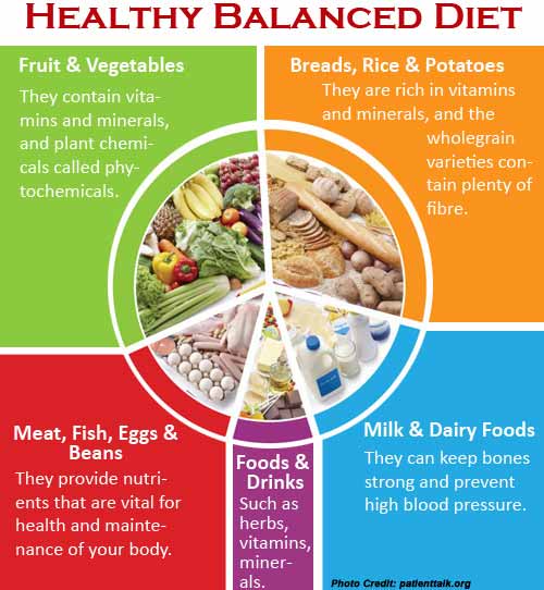 Protein Balanced Diet - danposts