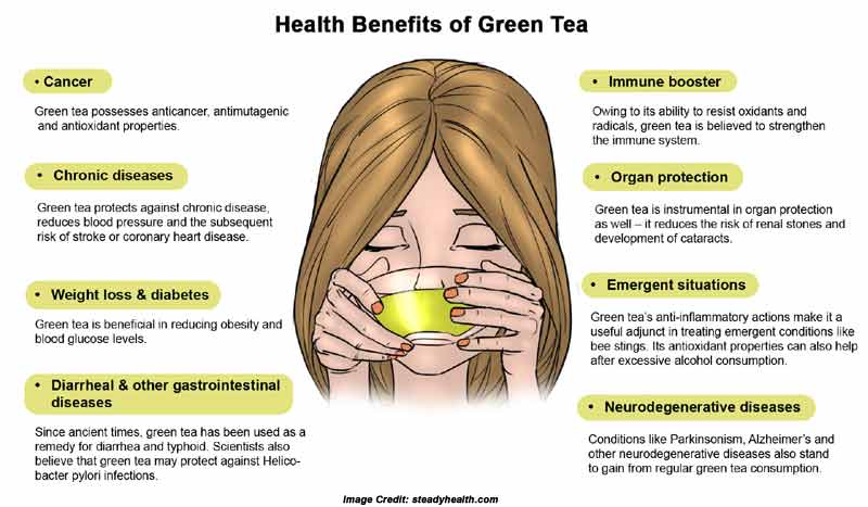 Green Tea And Fat Loss 119