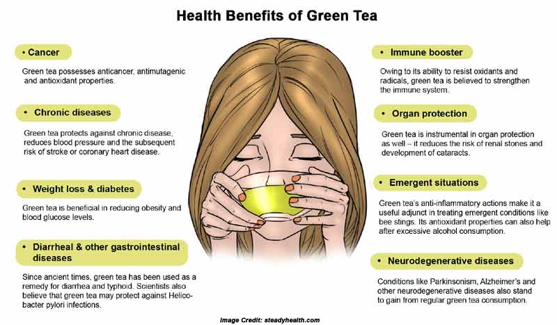 Fat Loss Green Tea 18