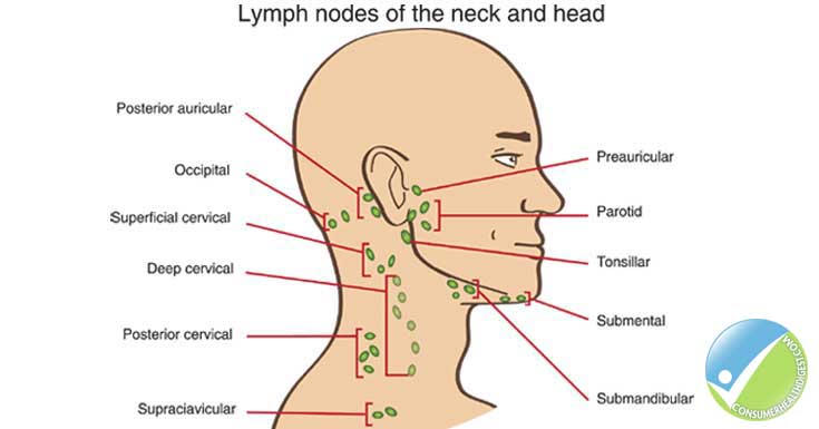 Purpose of National Oral, Head and Neck Cancer Awareness Week