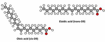 Oleic Acid